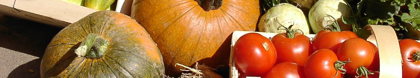 Kürbisse und Tomaten © Dienstleistungszentren Ländlicher Raum